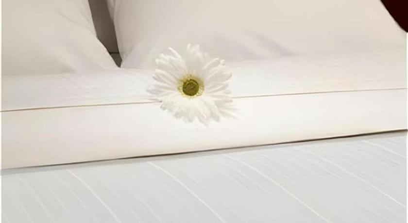 Express & By Ihg Hotel 3*